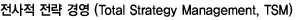   濵 (Total Strategy Management, TSM)